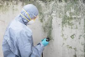 Mold Odor Removal Services in Watertown, SD